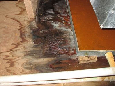 About water damage cleanup - ceiling water damage repair experts in Eastpointe